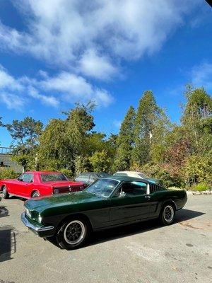 1965 Mustang getting ready to go out for the day