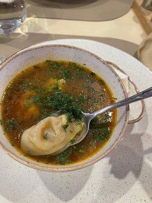 fresh dumpling soup