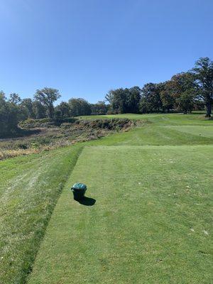 Signature par 3 third hole