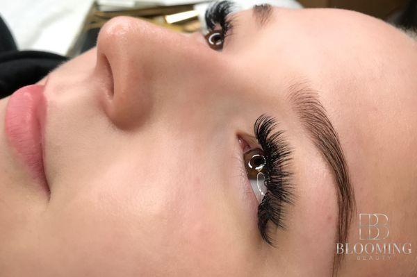 XL Volume Lash Extensions