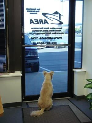 AREA's original mascot waiting to greet you as you begin your new career! Call 770-591-5552 or visit us at www.education-area-ga.com.