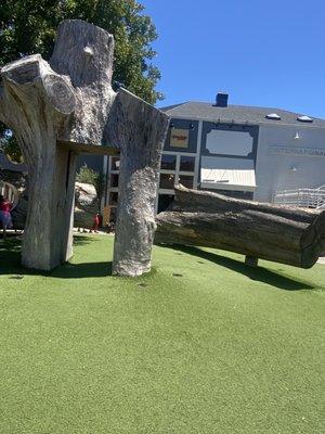 Craved out trunk of redwood for kids to crawl thru.