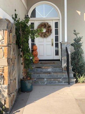 New stone steps, column and iron railing to match existing stone work. New plant to make front walkway welcoming.