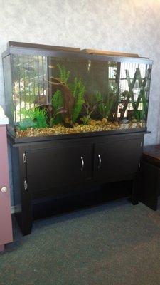 Cute fish tank in the office