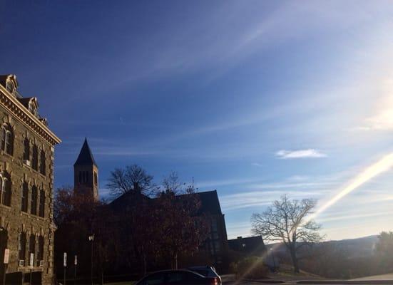 The view outside Olin Library