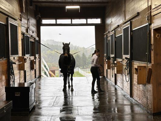 Silverstone Stables and Farms