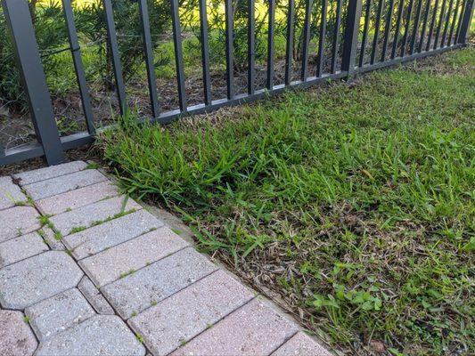 Shades of Green Landscaping