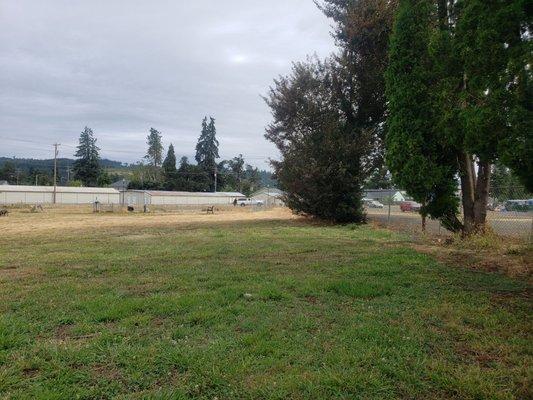 Lulu's Dog Park in Cottage Grove, Oregon.