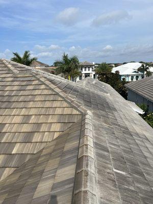 Before and after photo of our safe soft wash roof cleaning services