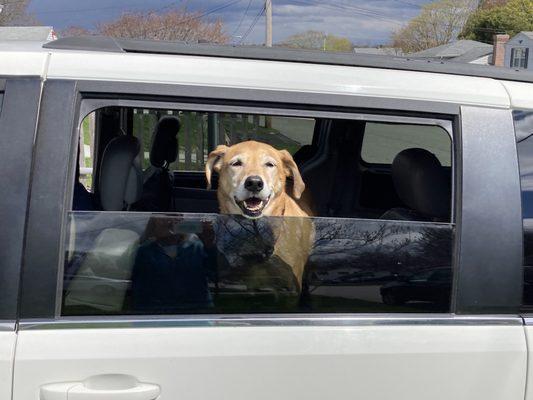 Gold Star Auto Sales