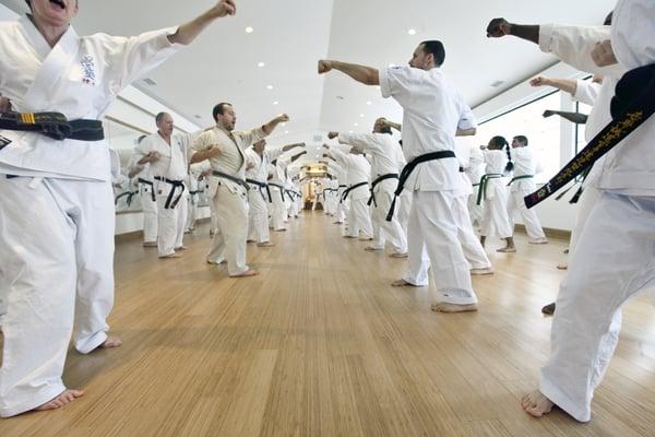 Seido Karate