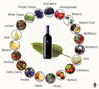 MonaVie- 19 Fruits Featuring Acai Berry