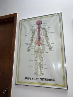 Cloverleaf Chiropractic Clinic