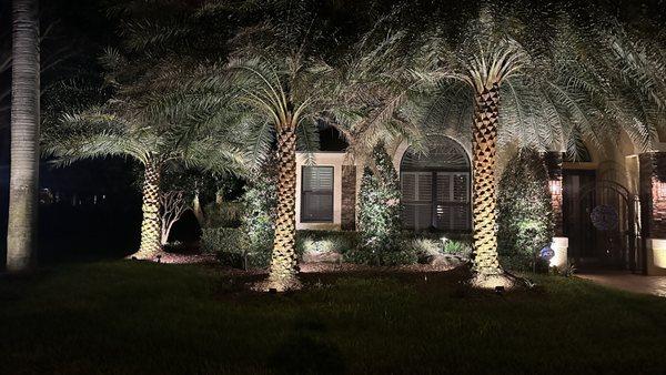 Landscape Lighting