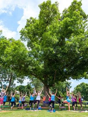 Yoga in Taylor Park all summer with Bhakti Barn Yoga