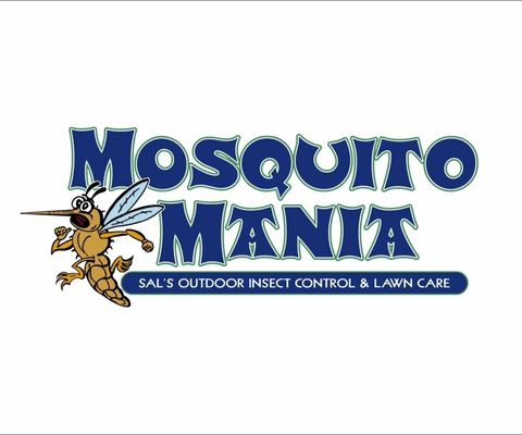 Mosquito Mania