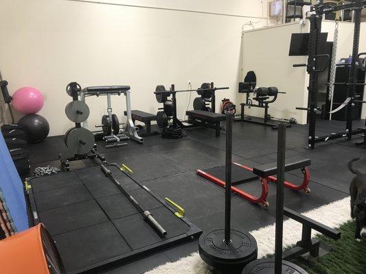 Equipment recently updated March 2019.