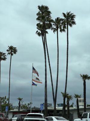 Rio Mesa High School