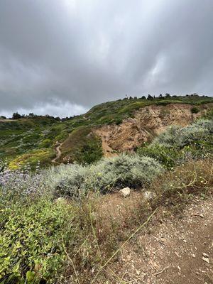 Forrestal Ecological Reserve