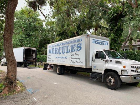 Hercules Delivery & Moving