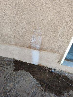 They peed on my stucco