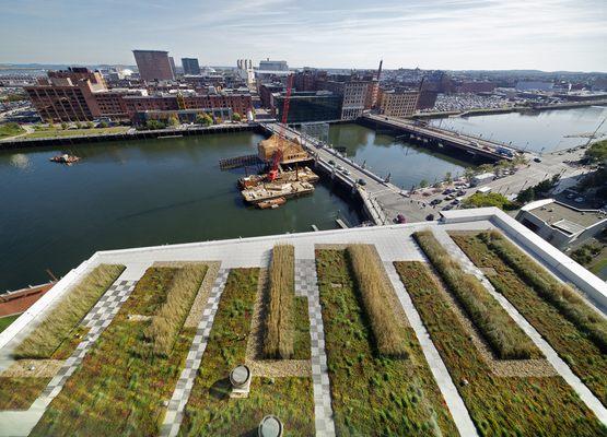 Atlantic Wharf + Greenroof | Boston, MA