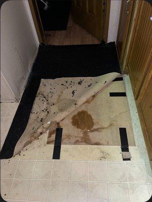 Large holes in floors never repaired, lied about by property managers on the stand under oath