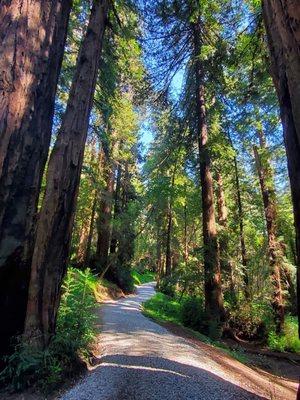 Nature walk