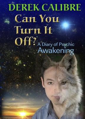 Derek's acclaimed book will help you open up to and understand your own psychic ability.