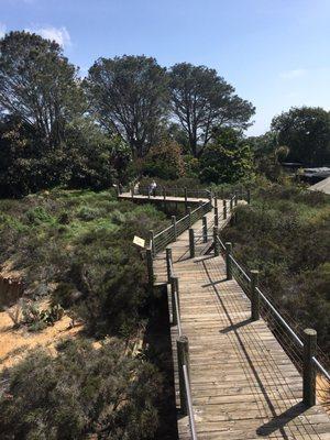 Pathway to lookout