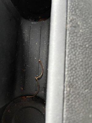 Cherry stems in cup holders