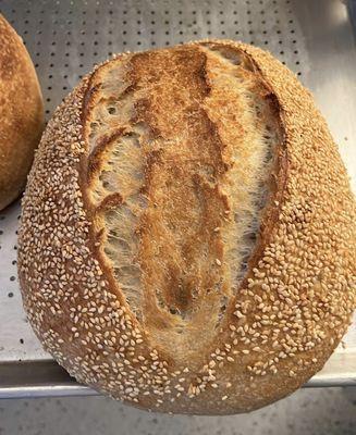 Sesame Seeded Sourdough ~9