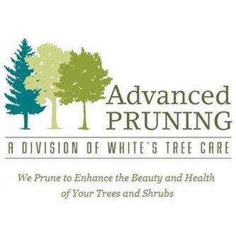 Advance Pruning