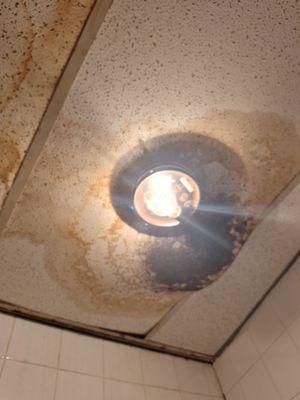 Mold on the ceiling of the patient bathroom, I could smell the mold spores in the air.