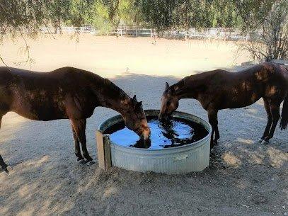 Chino Hills Horse Boarding