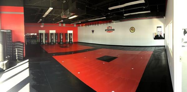 Workout area with professional mats.