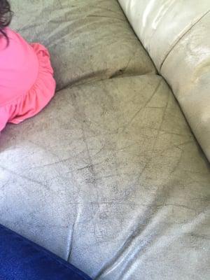 Dirty and nasty sofa in the sitting area