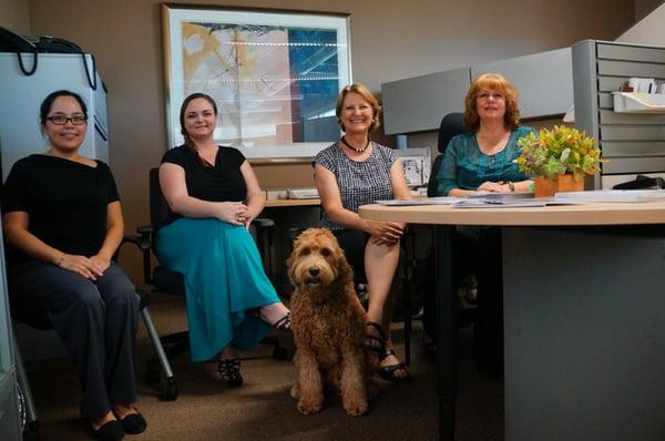 Our Expert Office Team & Office Dog