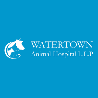 Watertown Animal Hospital