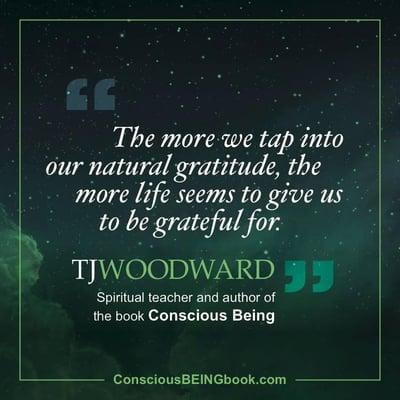 Quote from TJ Woodward's book, Conscious BEING: Awakening to Your True Nature.