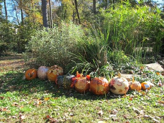 Our pumpkin caterpillar! Every fall the classes decorate one pumpkin with a letter. We put it together for the Wylde Center to display!