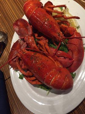 Maine lobsters ... Nothing better!