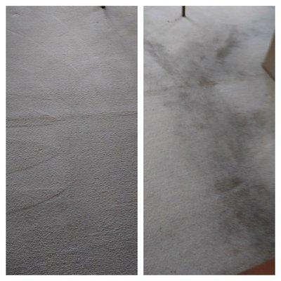 Carpet cleaning