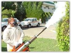 UV-Fogging System Kills Bugs on Contact