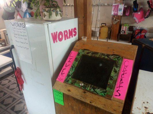 Worms and crickets!