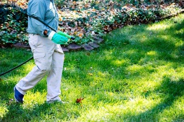 We provide fertilization, weed control, as well as additional services. Call us today to find out more.