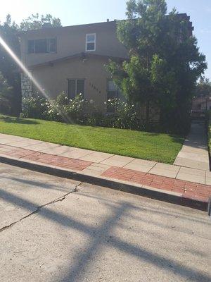 Front Lawn From Across The Street (08/18/20). #DavilaLandscaping #BellGarden #Gardening #Landscaping