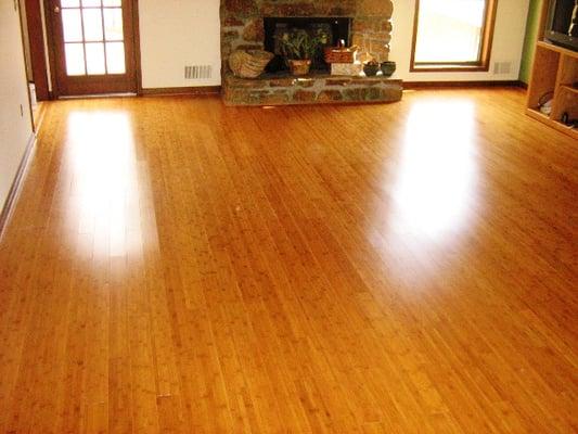 Floor Refinishing Service