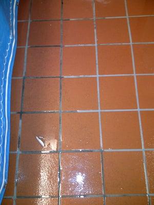 Quarry tile common in commercial kitchens.