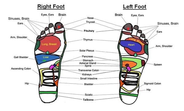 Reflexology with doTERRA oils